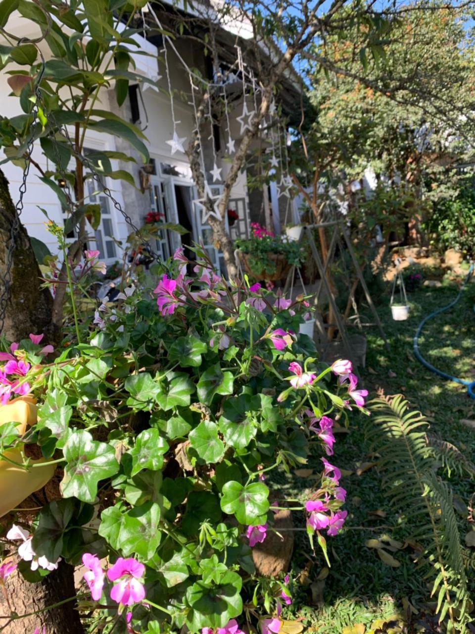 De Daisy Villa Homestay Đà Lạt Ngoại thất bức ảnh