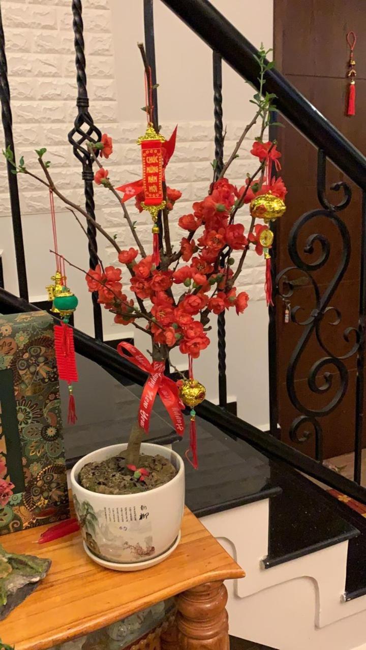 De Daisy Villa Homestay Đà Lạt Ngoại thất bức ảnh