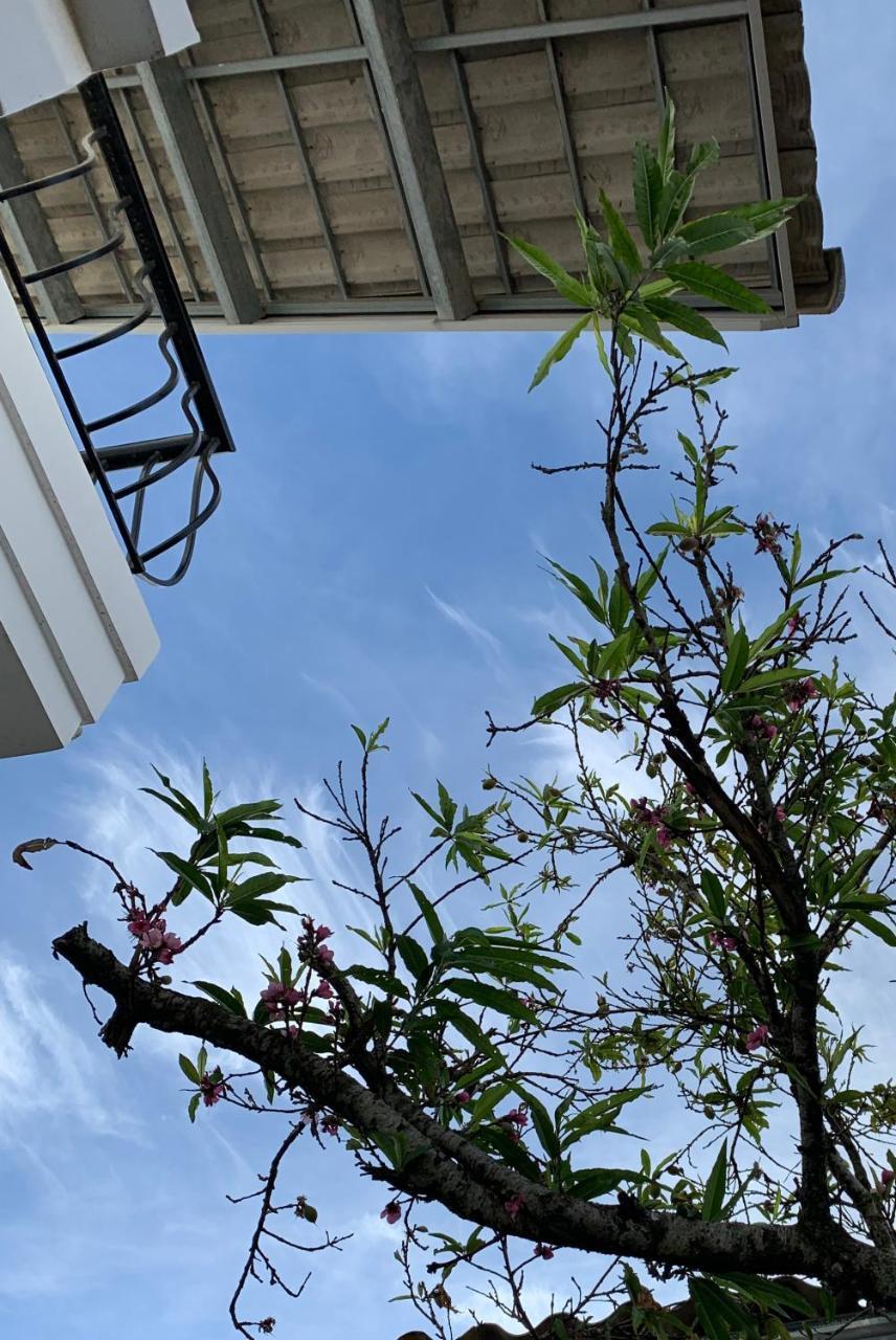 De Daisy Villa Homestay Đà Lạt Ngoại thất bức ảnh