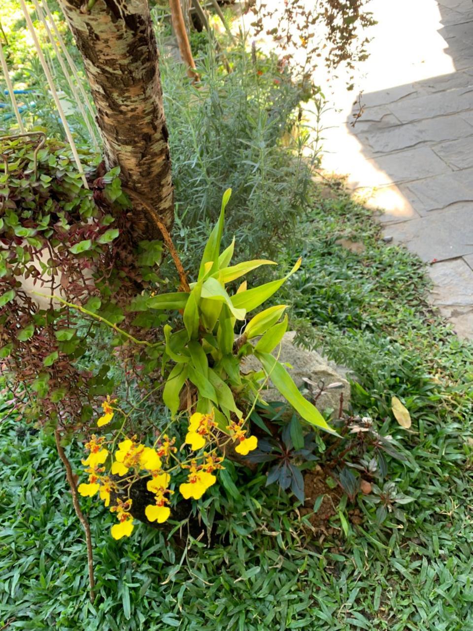 De Daisy Villa Homestay Đà Lạt Ngoại thất bức ảnh